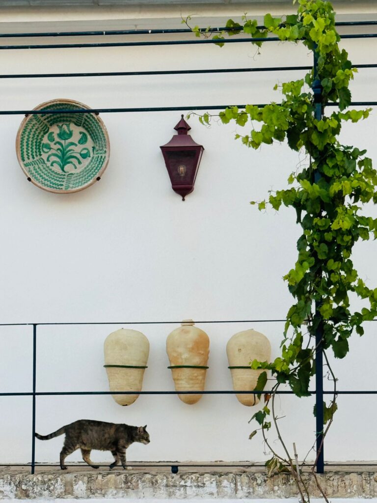 Aplique farol rojo modelo Mercader en casa de campo