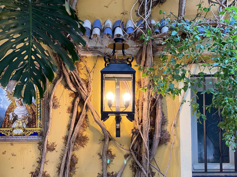 decoración de patios andaluces